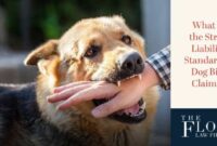 Liability claims for dog bite accidents Understanding, implications, and prevention strategies