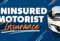 Uninsured Motorist Insurance Coverage Protecting You on the Road