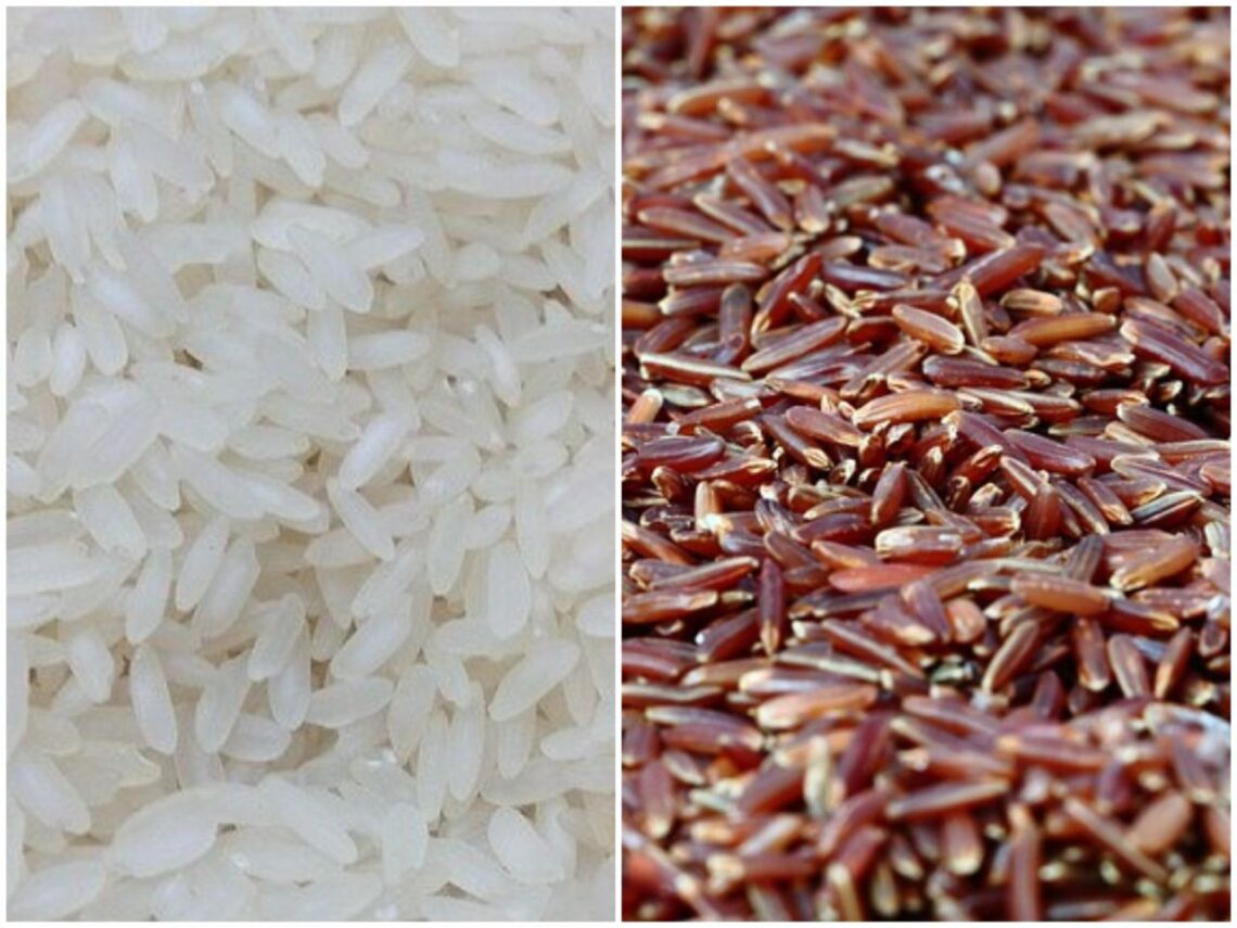 Kalori Nasi Putih dan Nasi Merah, Pilih Sesuai Kebutuhan