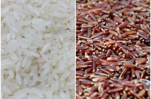 Kalori Nasi Putih dan Nasi Merah, Pilih Sesuai Kebutuhan